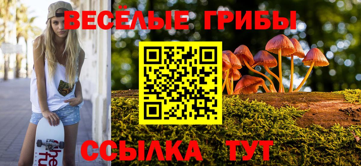 Псилоцибиновые грибы мухоморы Камышин